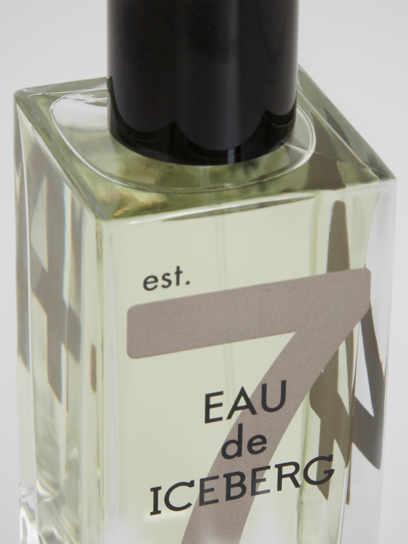 Eau De Iceberg Jasmine Pour Femme Eau de Toilette, 100ml